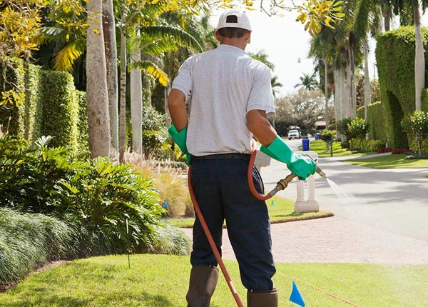 About Bandana KY Pest Control